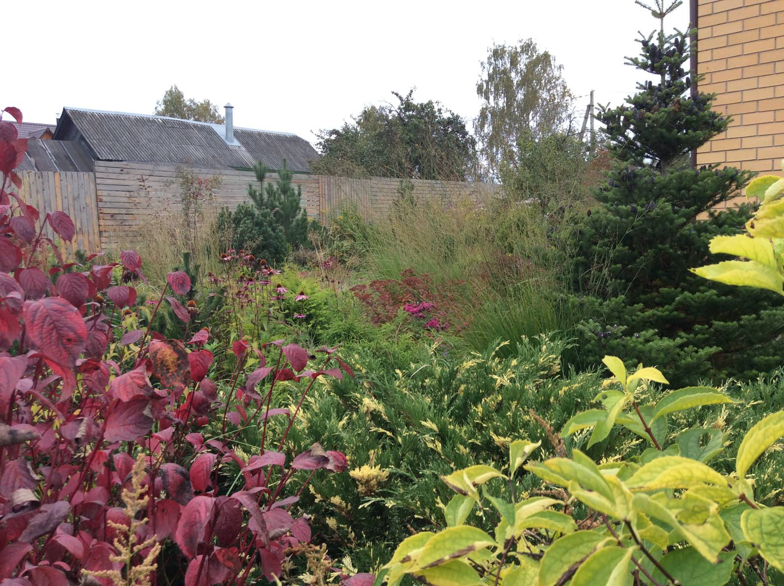 ТЕПЛЫШКО МОЕ РАСПУШЕННОЕ.