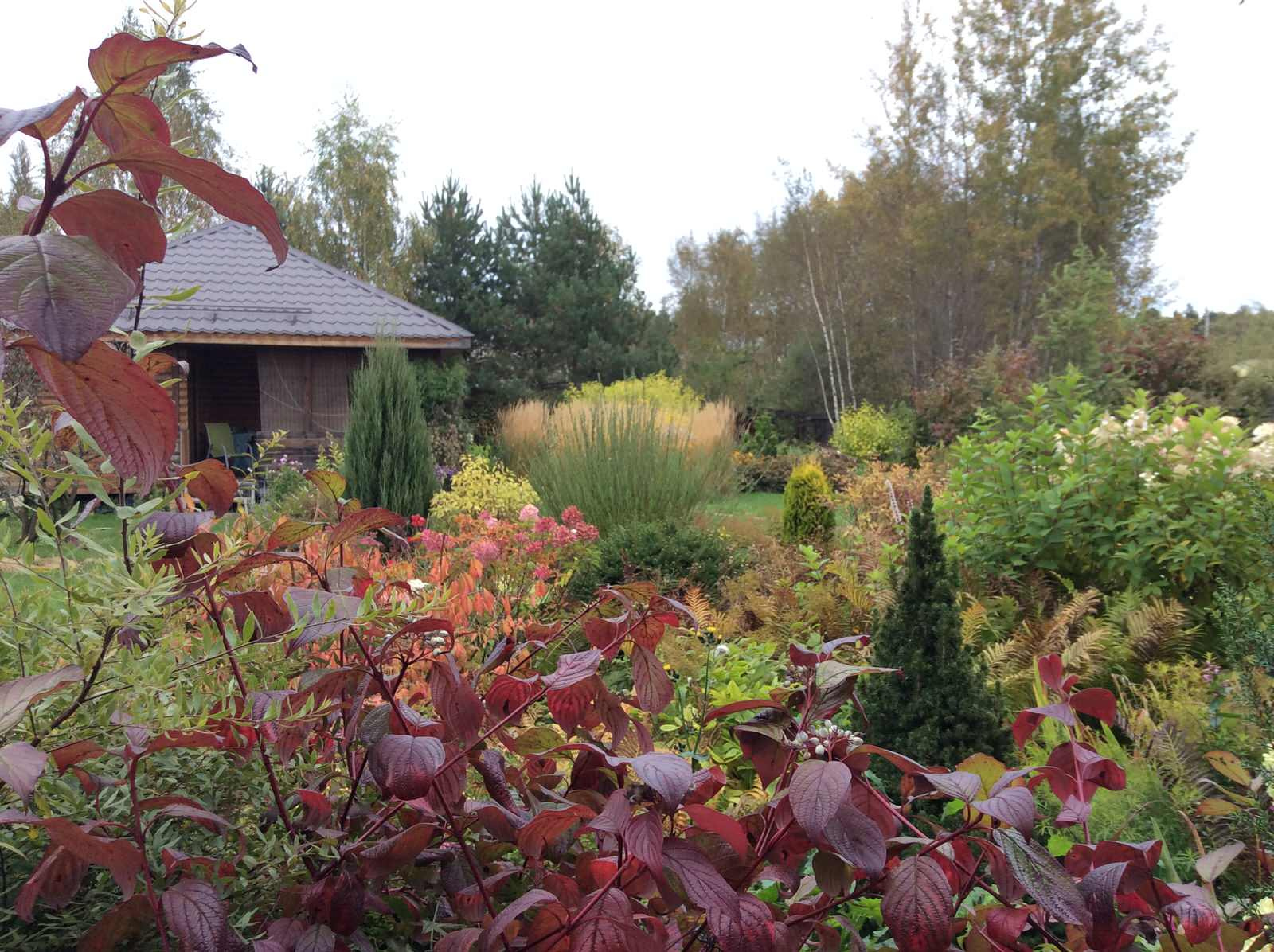 ТЕПЛЫШКО МОЕ РАСПУШЕННОЕ.