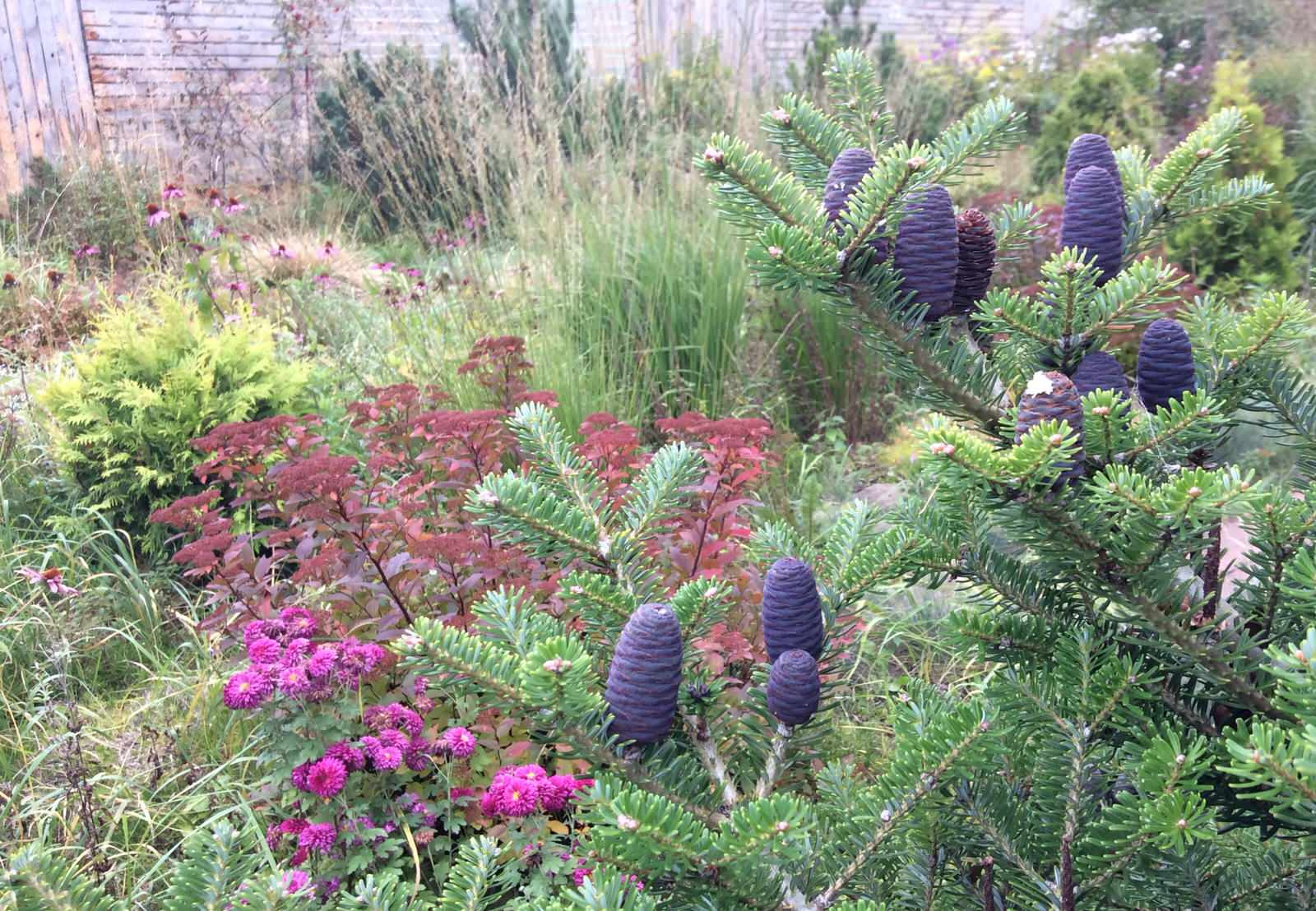 ТЕПЛЫШКО МОЕ РАСПУШЕННОЕ.