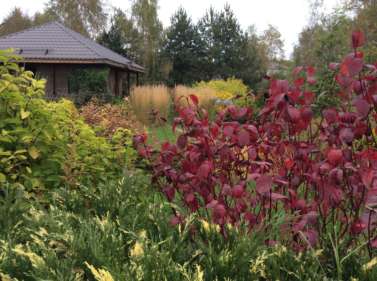 ТЕПЛЫШКО МОЕ РАСПУШЕННОЕ.