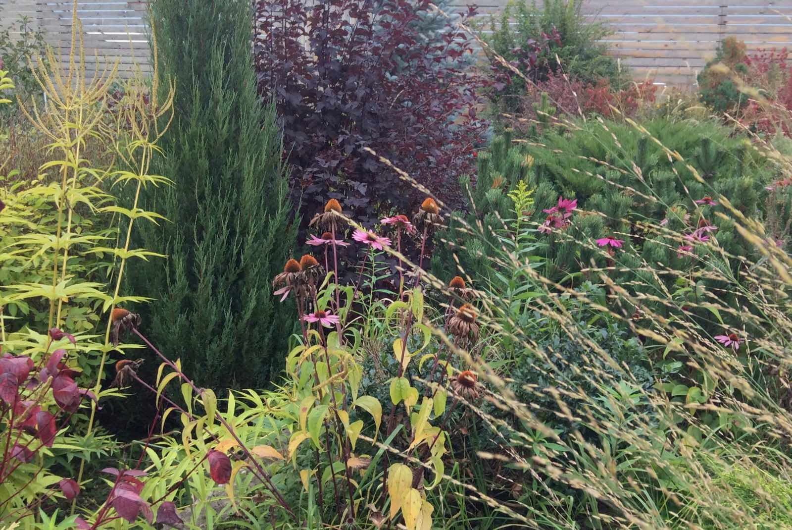 ТЕПЛЫШКО МОЕ РАСПУШЕННОЕ.