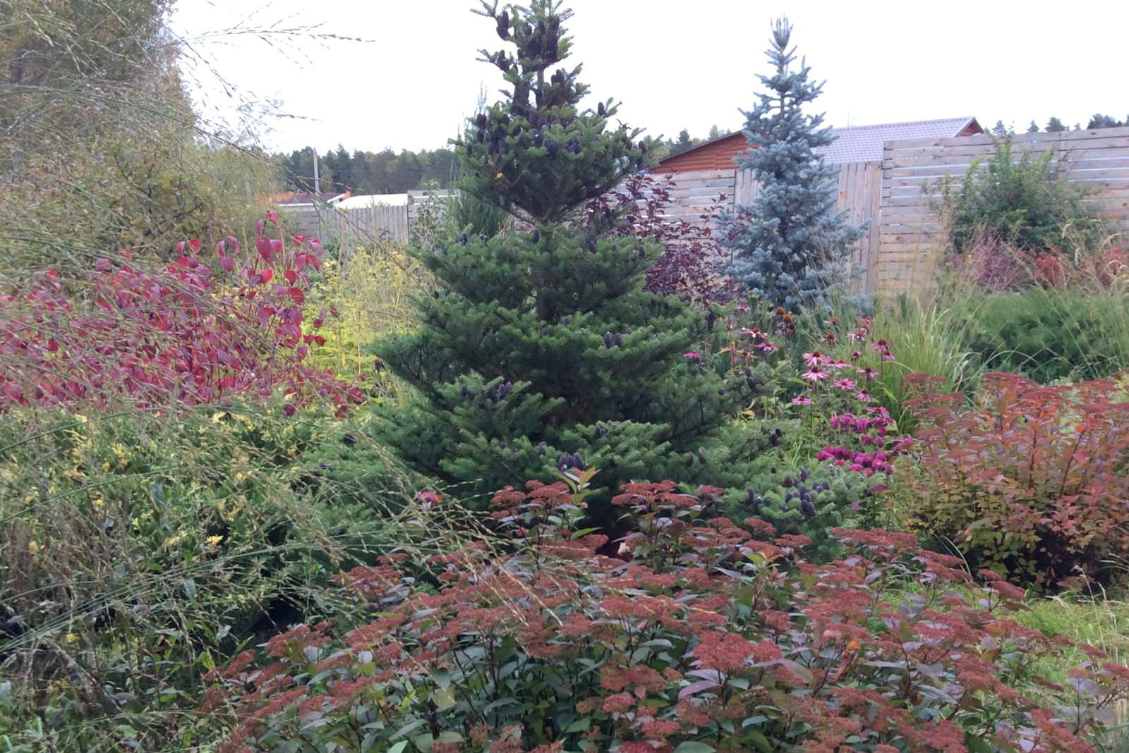 ТЕПЛЫШКО МОЕ РАСПУШЕННОЕ.