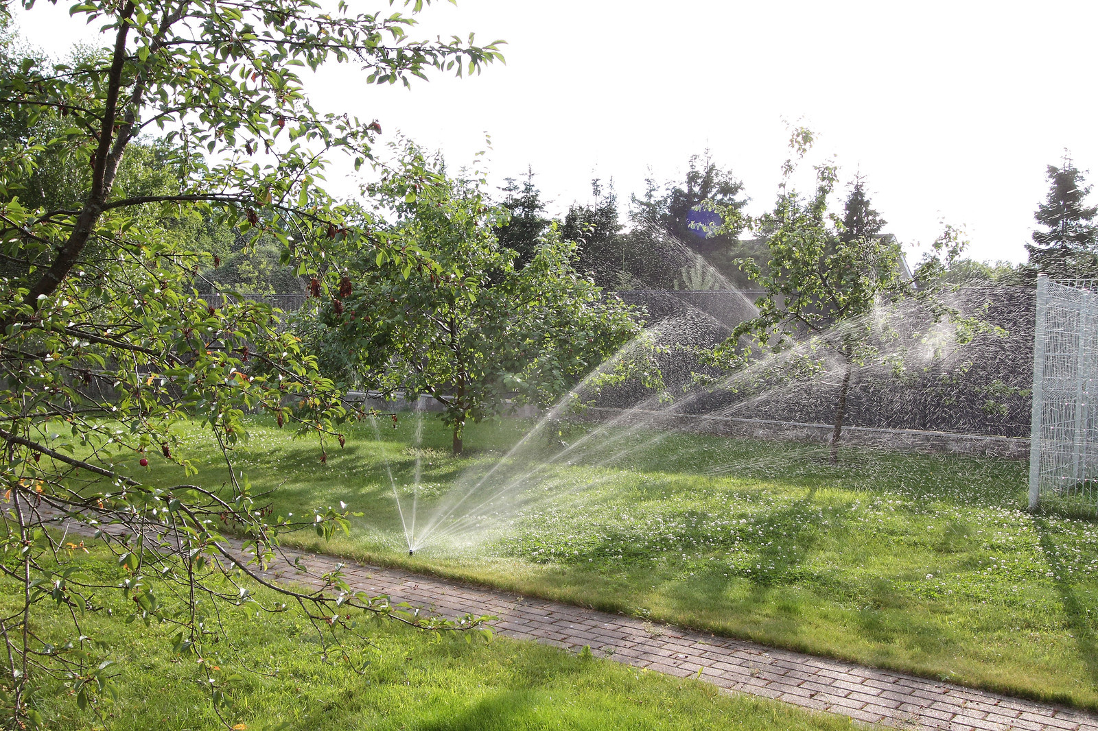 Пос. Лисий нос