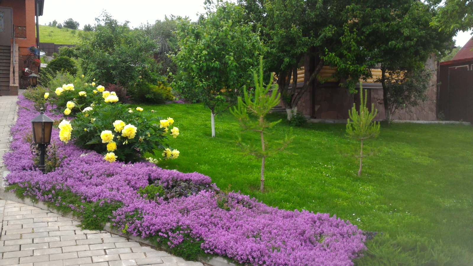 Фоновое изображение профиля Нелли Акимова