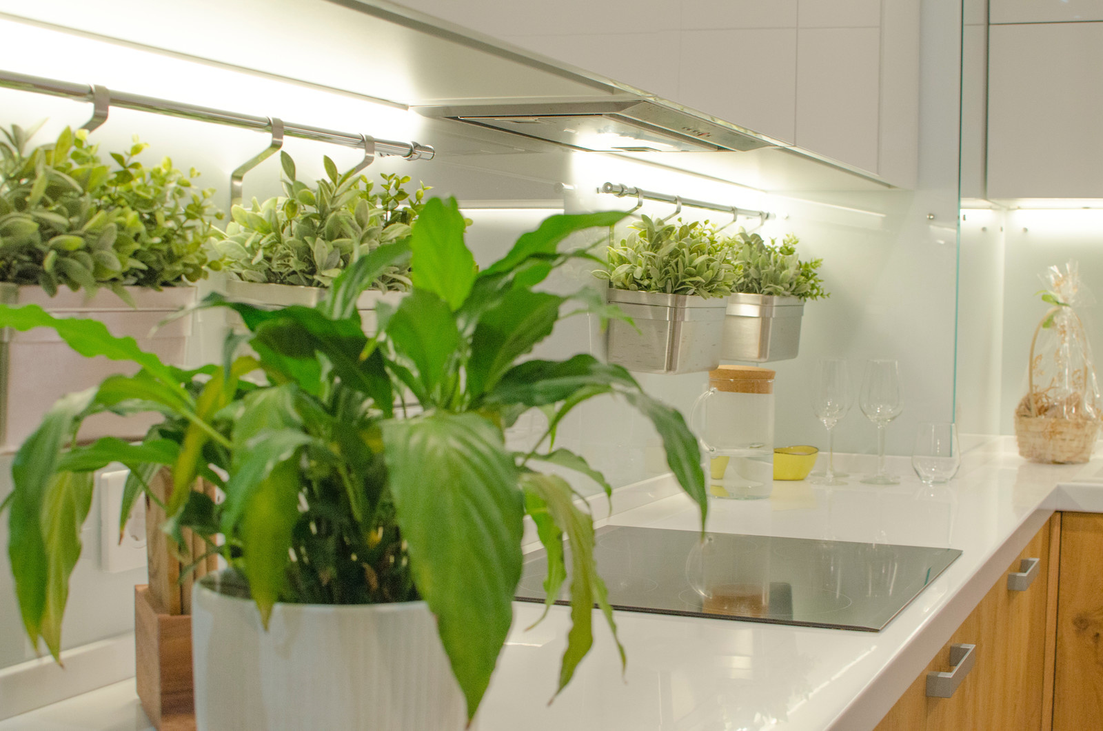 Фоновое изображение профиля Татьяна Старовойтова