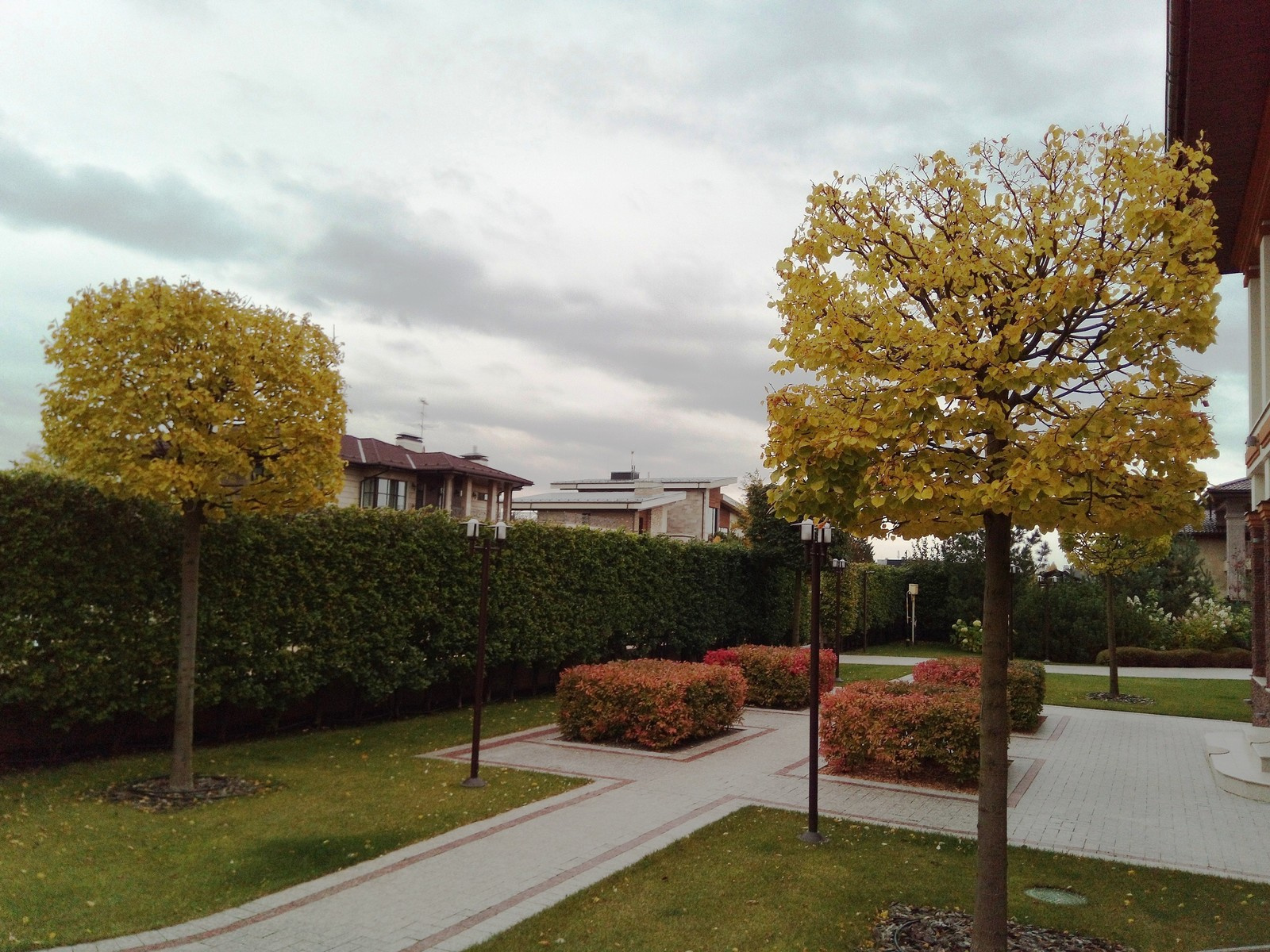 кп "Милениум" - Профессиональный уход за садом - 100% качество!