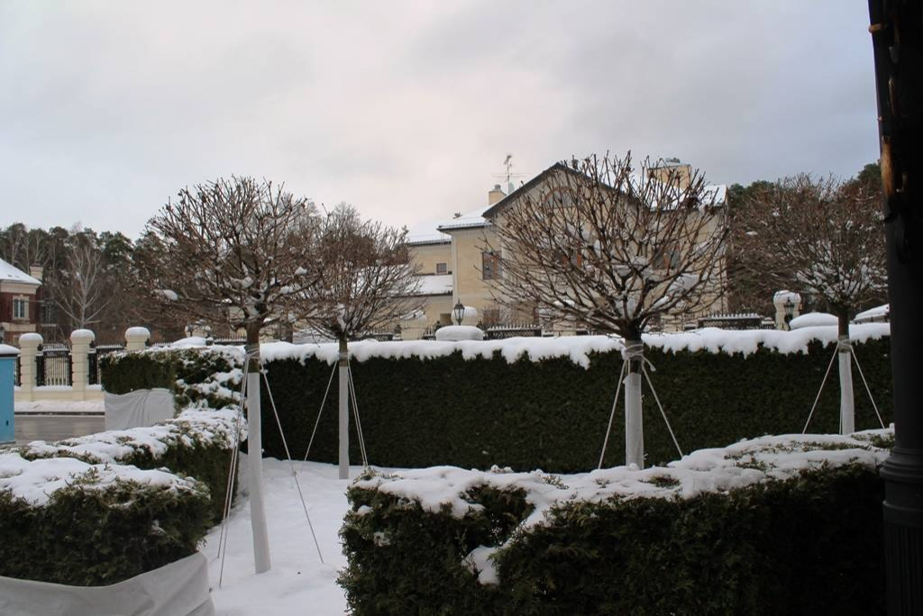 Обложка альбома: Укрытие Растений На Зиму