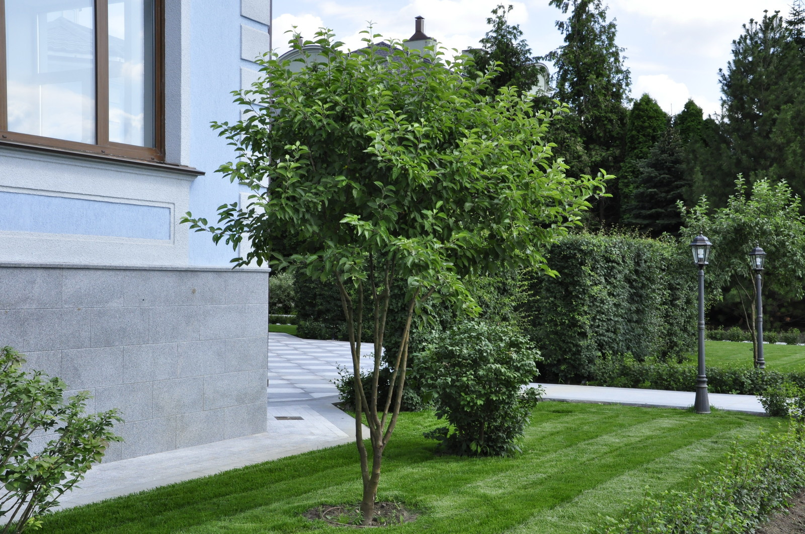 кп "Усово" - Уход за садом - 100% качество