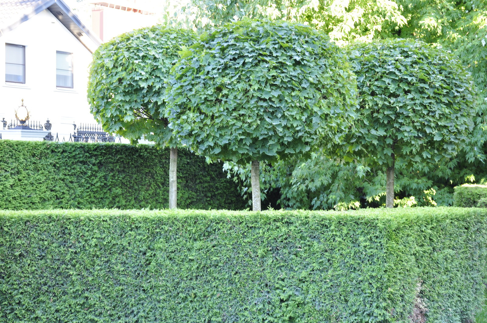 кп "Усово" - Уход за садом - 100% качество