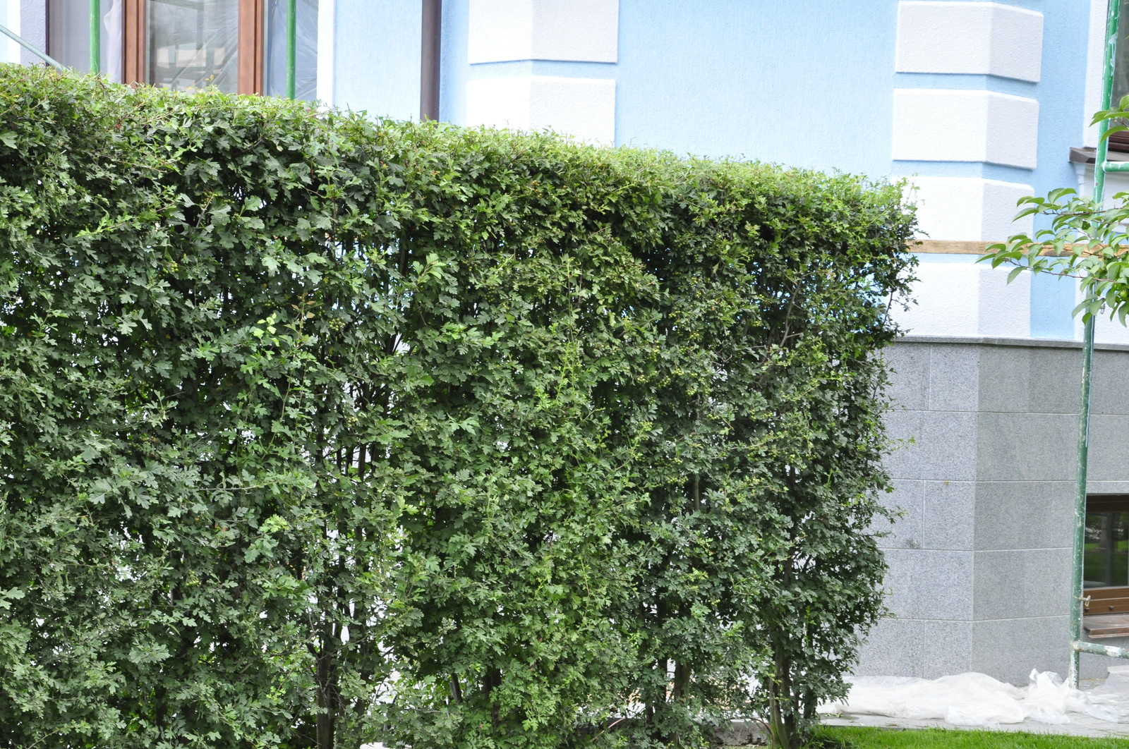 кп "Усово" - Уход за садом - 100% качество