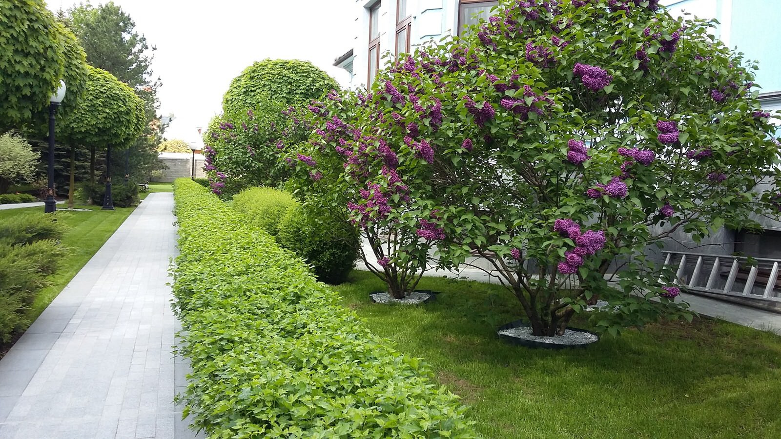 кп "Усово" - Уход за садом - 100% качество