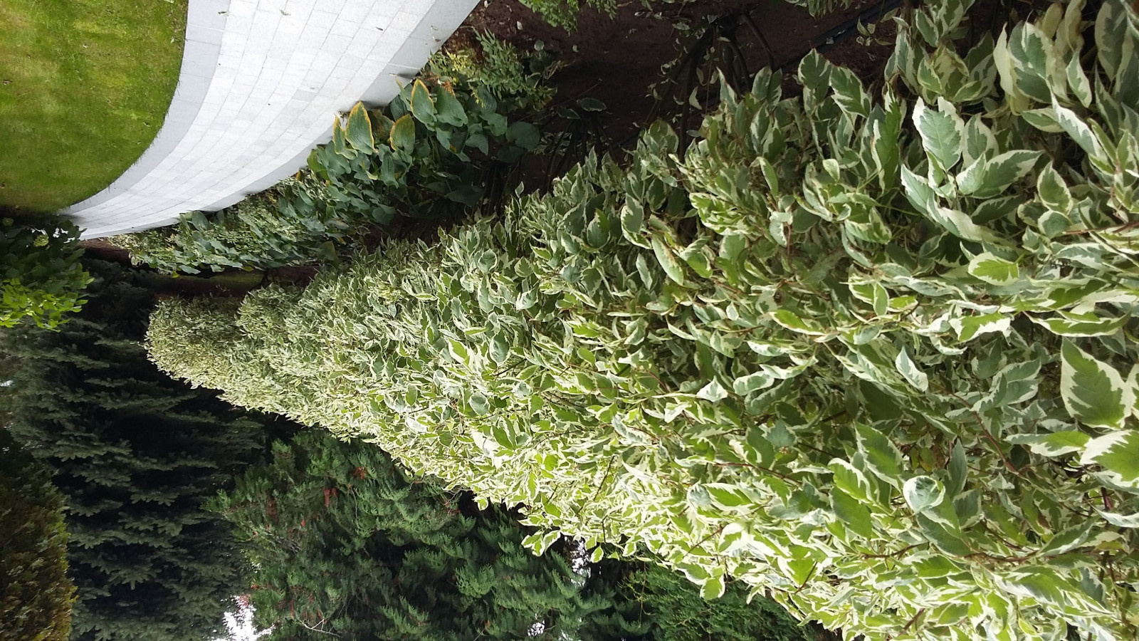 кп "Усово" - Уход за садом - 100% качество