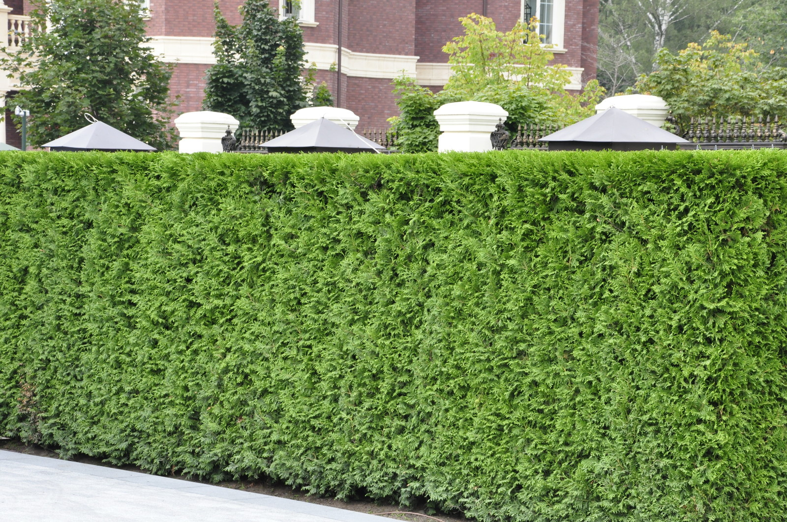 кп "Усово" - Уход за садом - 100% качество