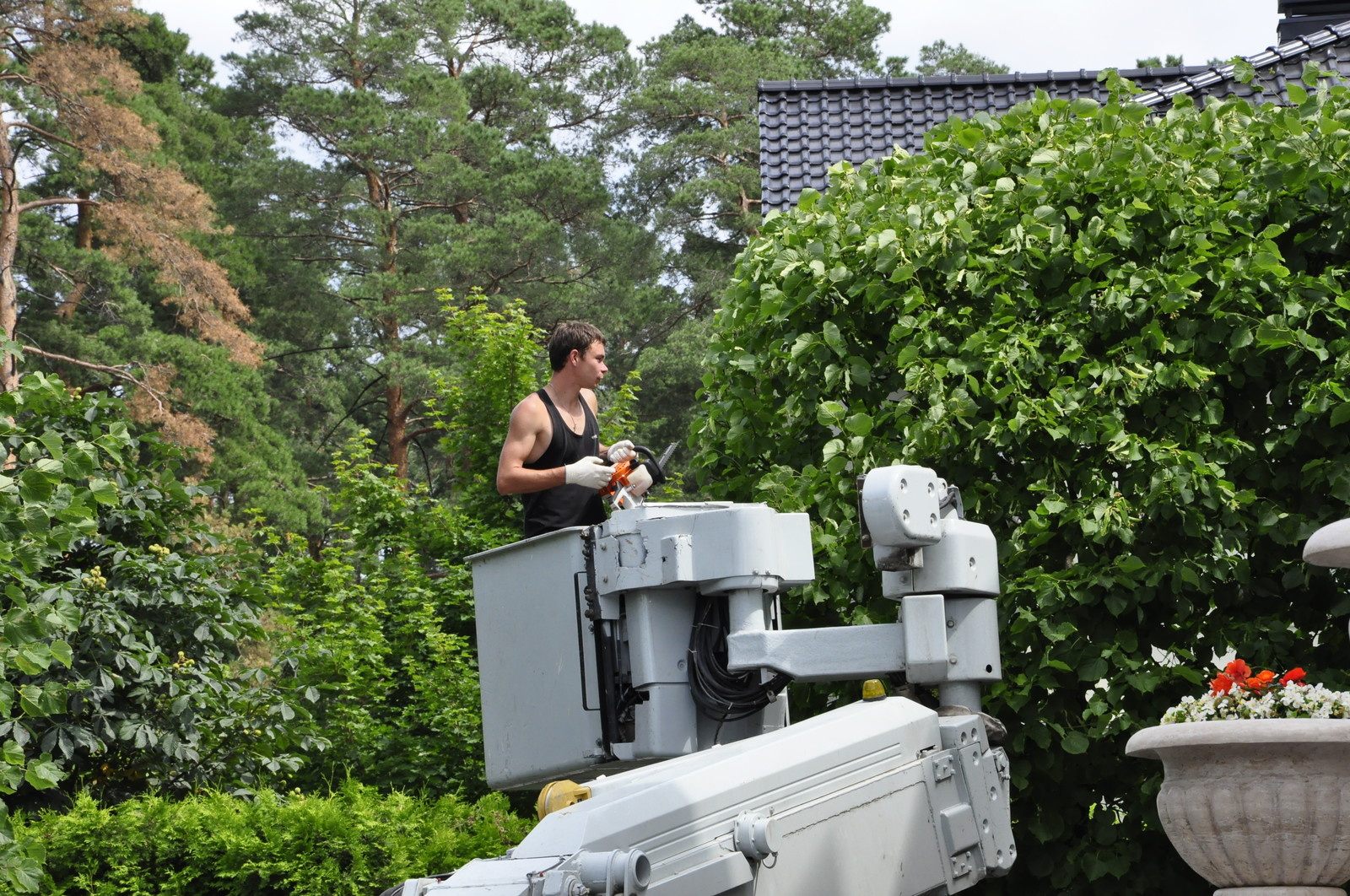 Дизайн-дебаты: Как сделать ландшафтный проект дешёвым в уходе