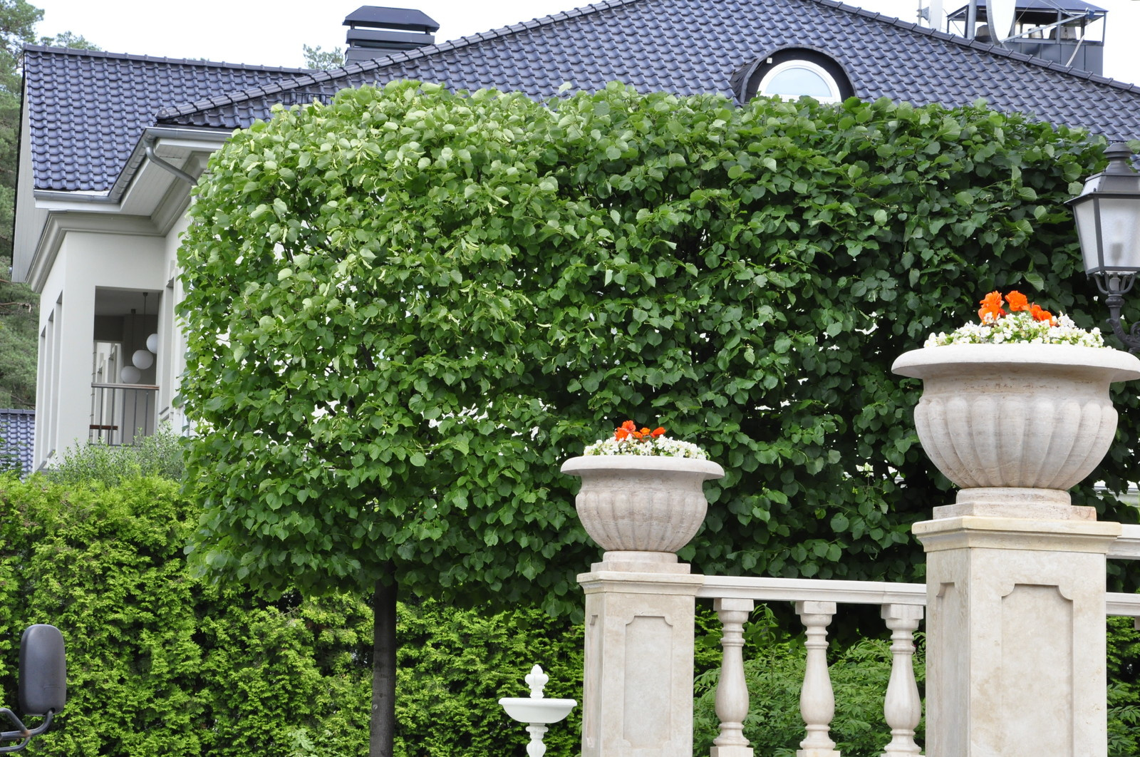 кп "Романово" - Уход за садом - 100% качество