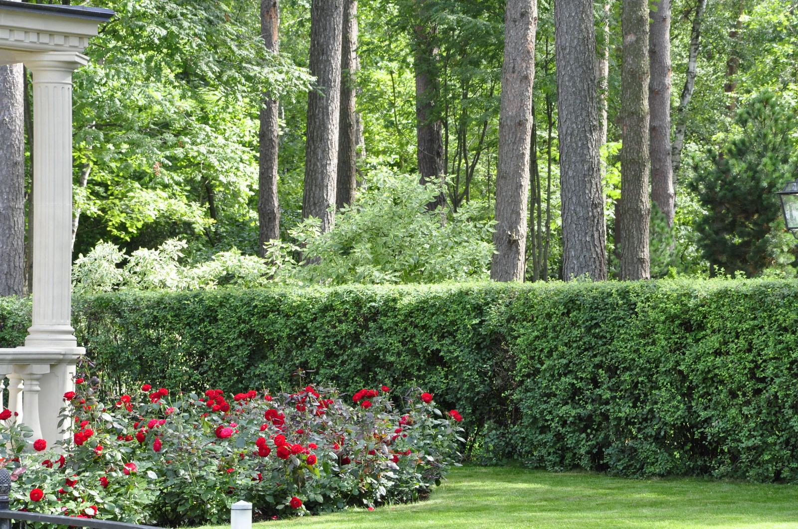 кп "Романово" - Уход за садом - 100% качество