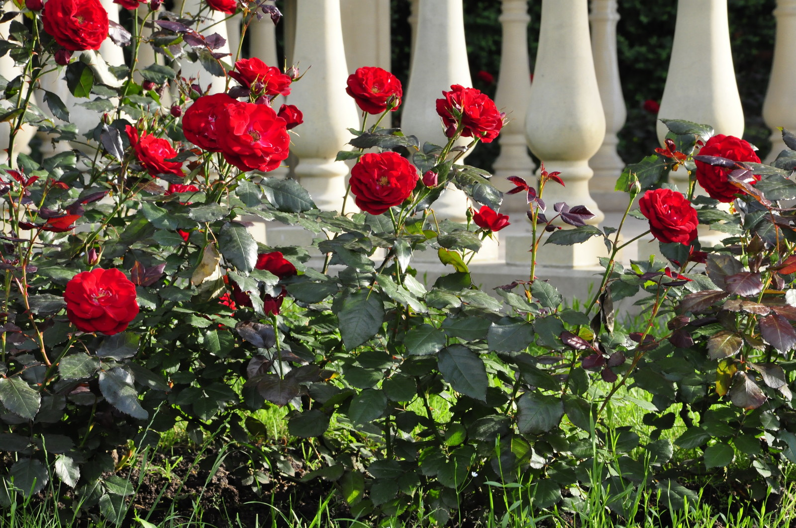 кп "Романово" - Уход за садом - 100% качество