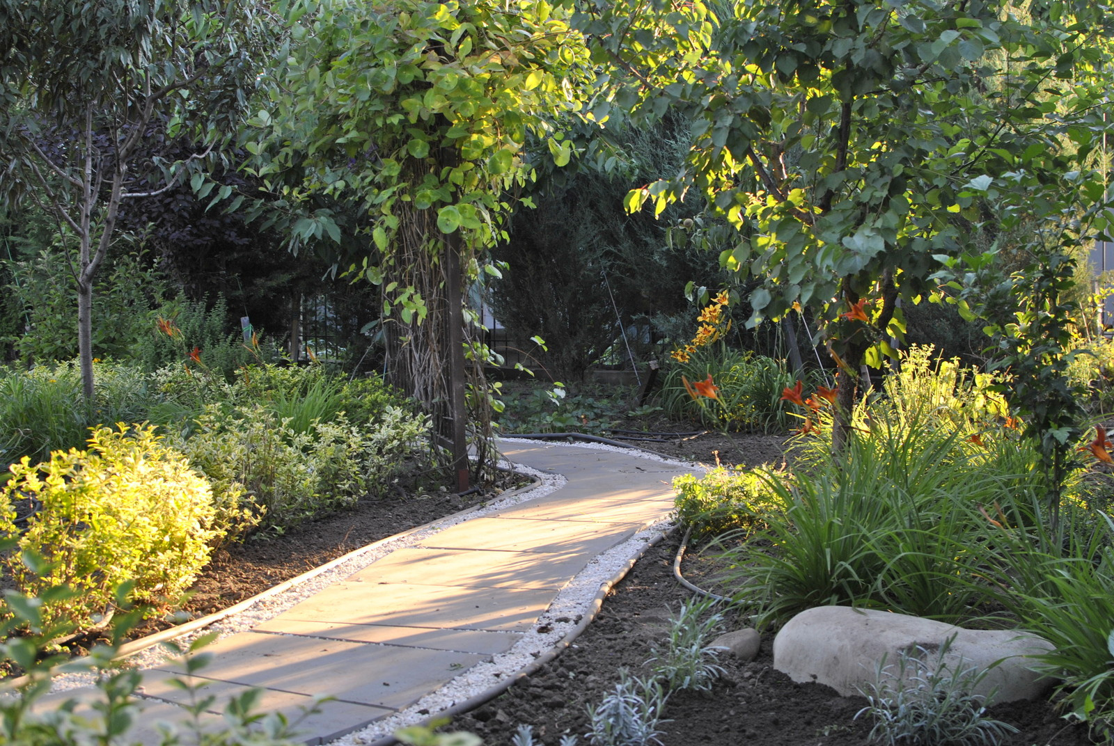 Сад Жены Самурая.