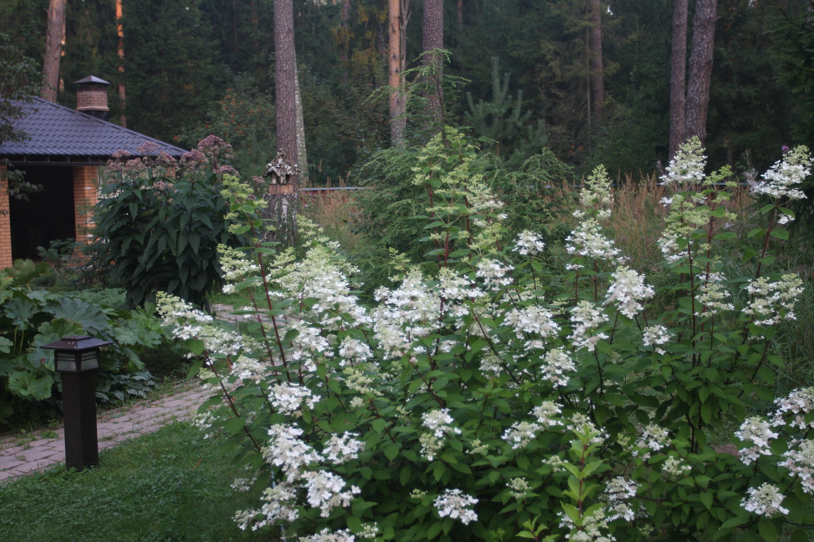 Обложка проекта: Каблуково