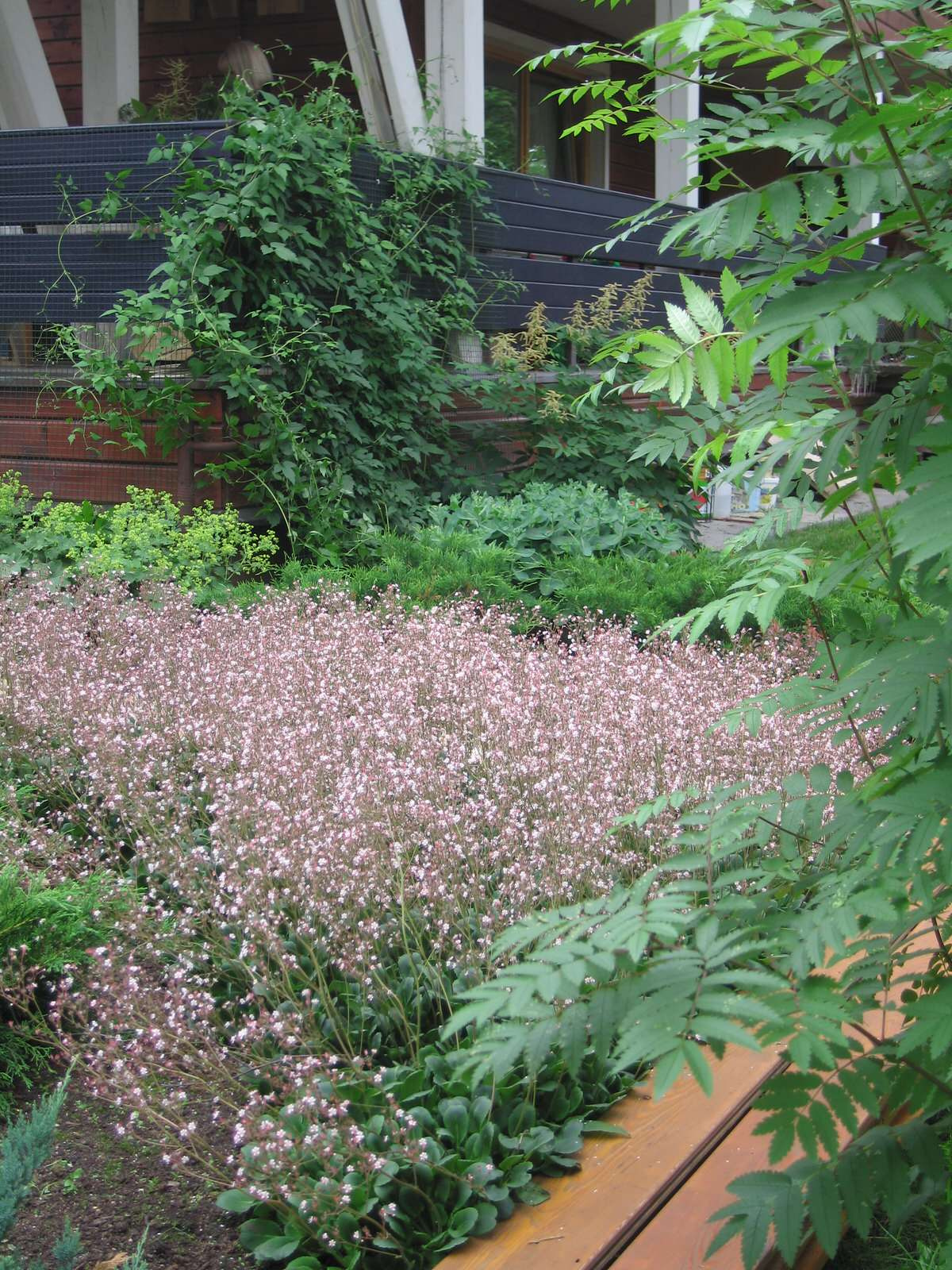 Обложка проекта: Спасибо Малевичу (в стиле супрематизма)