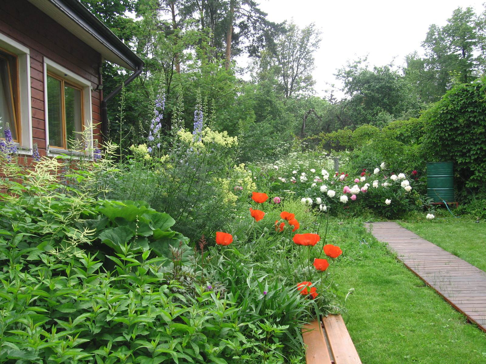 Спасибо Малевичу (в стиле супрематизма)