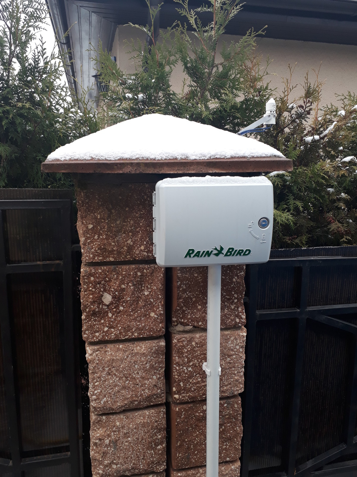 Фоновое изображение профиля Игорь Сокоцкий