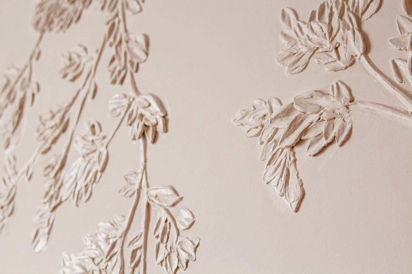 Древо жизни.