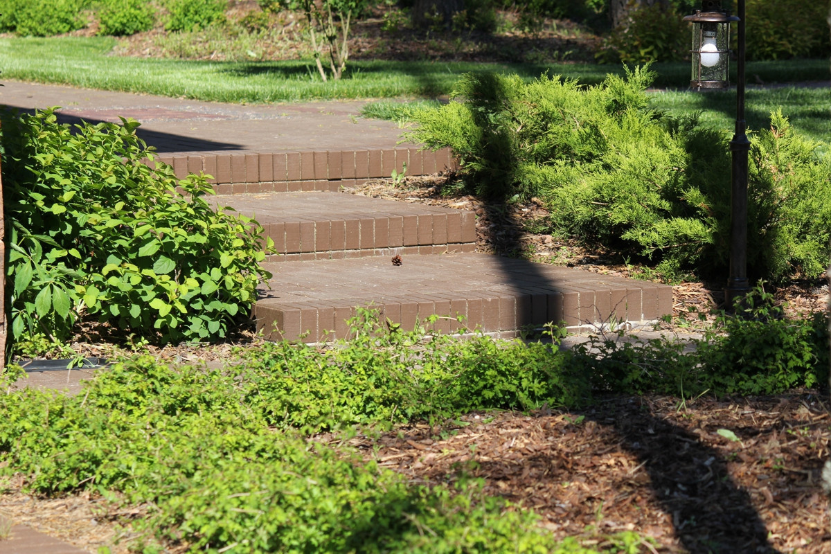 Особый статус