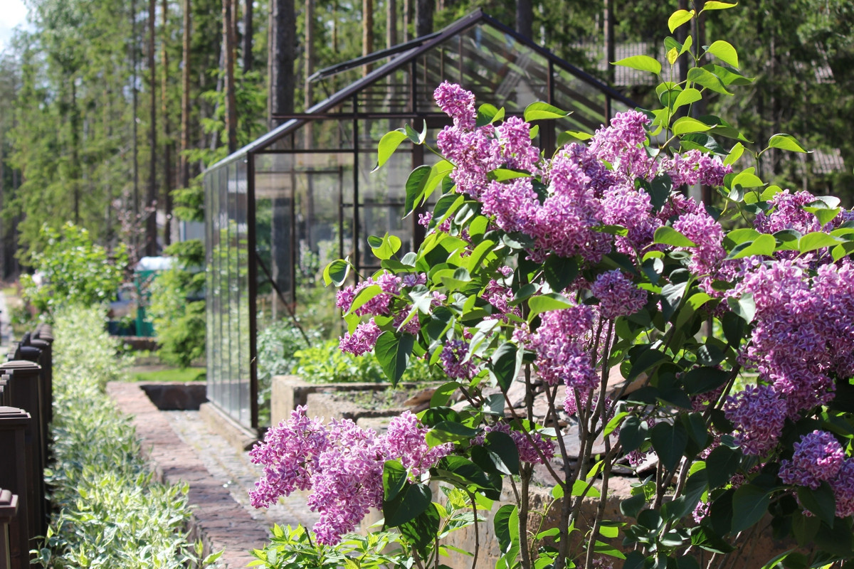 Особый статус