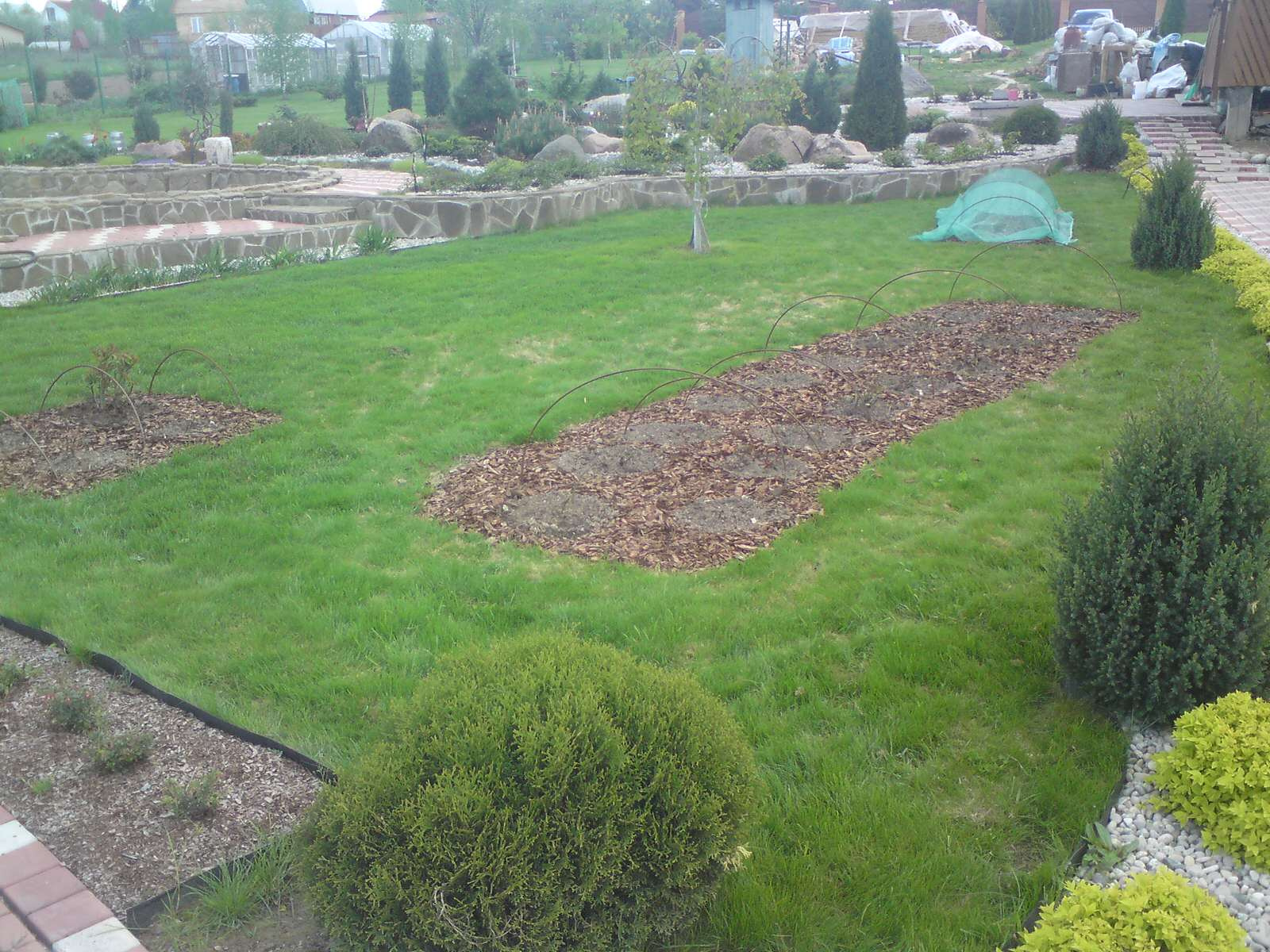 Алексей Истомин