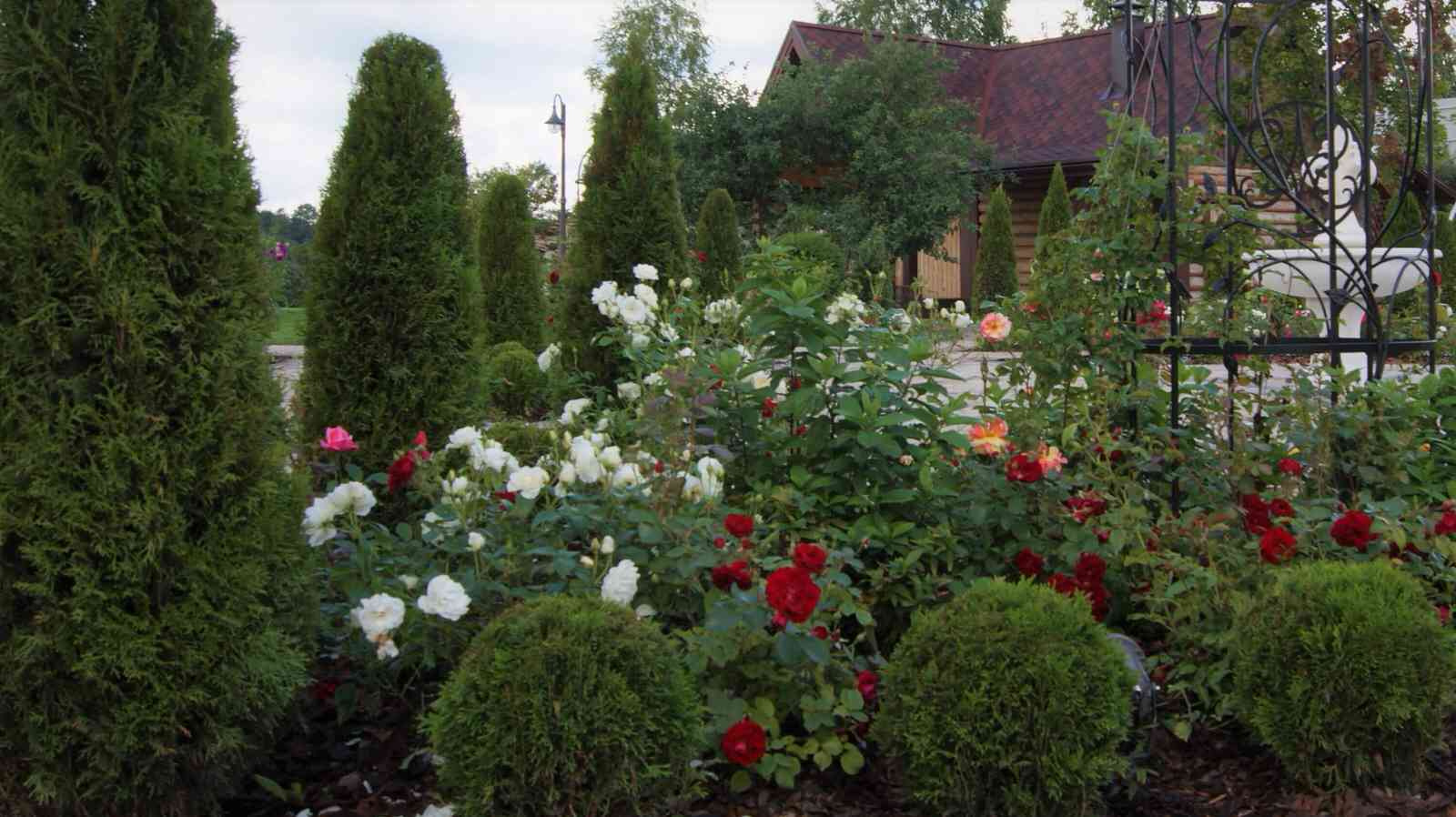 ИЗ ВАРЯГ В ГРЕКИ