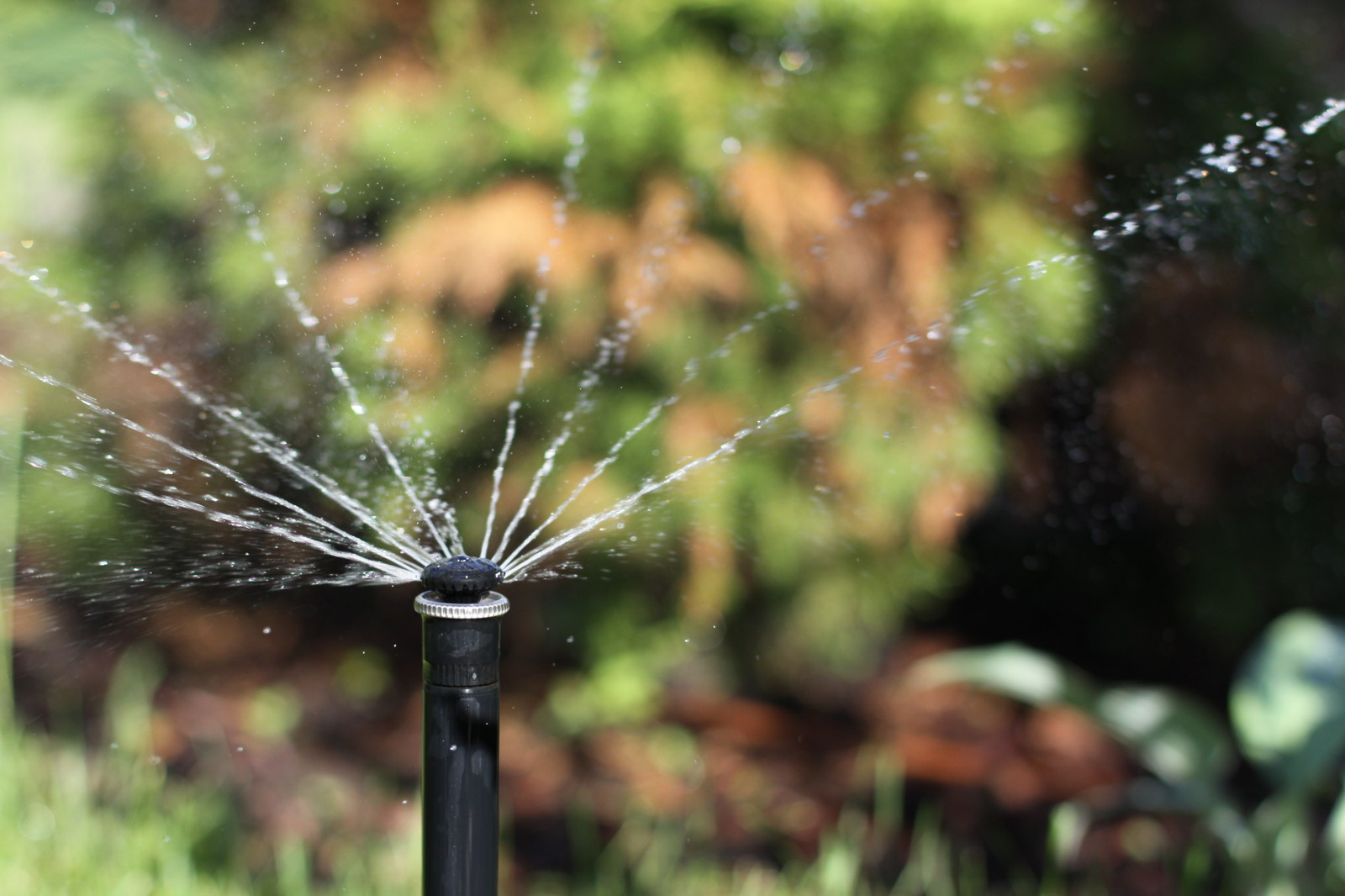 Проект автополива 15 соток