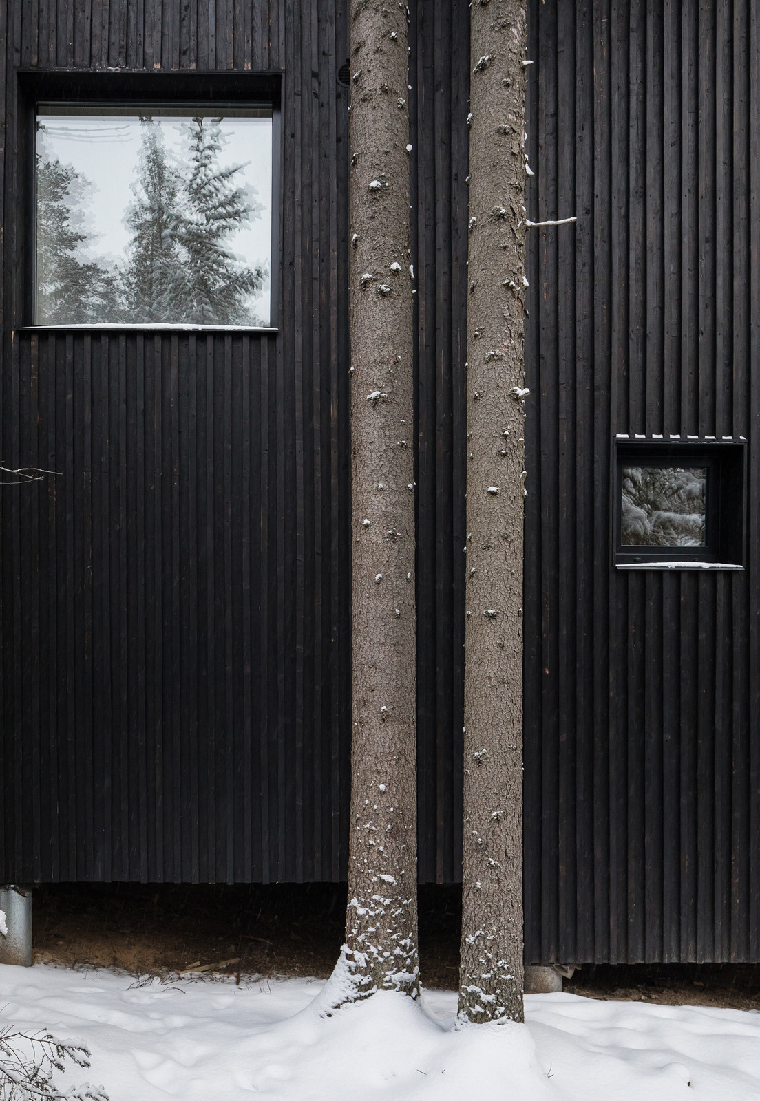 Houzz тур: Дом для двух художников на краю леса