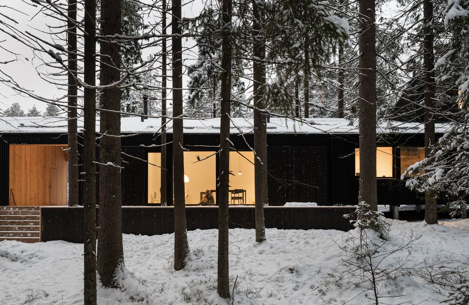 Houzz тур: Дом для двух художников на краю леса