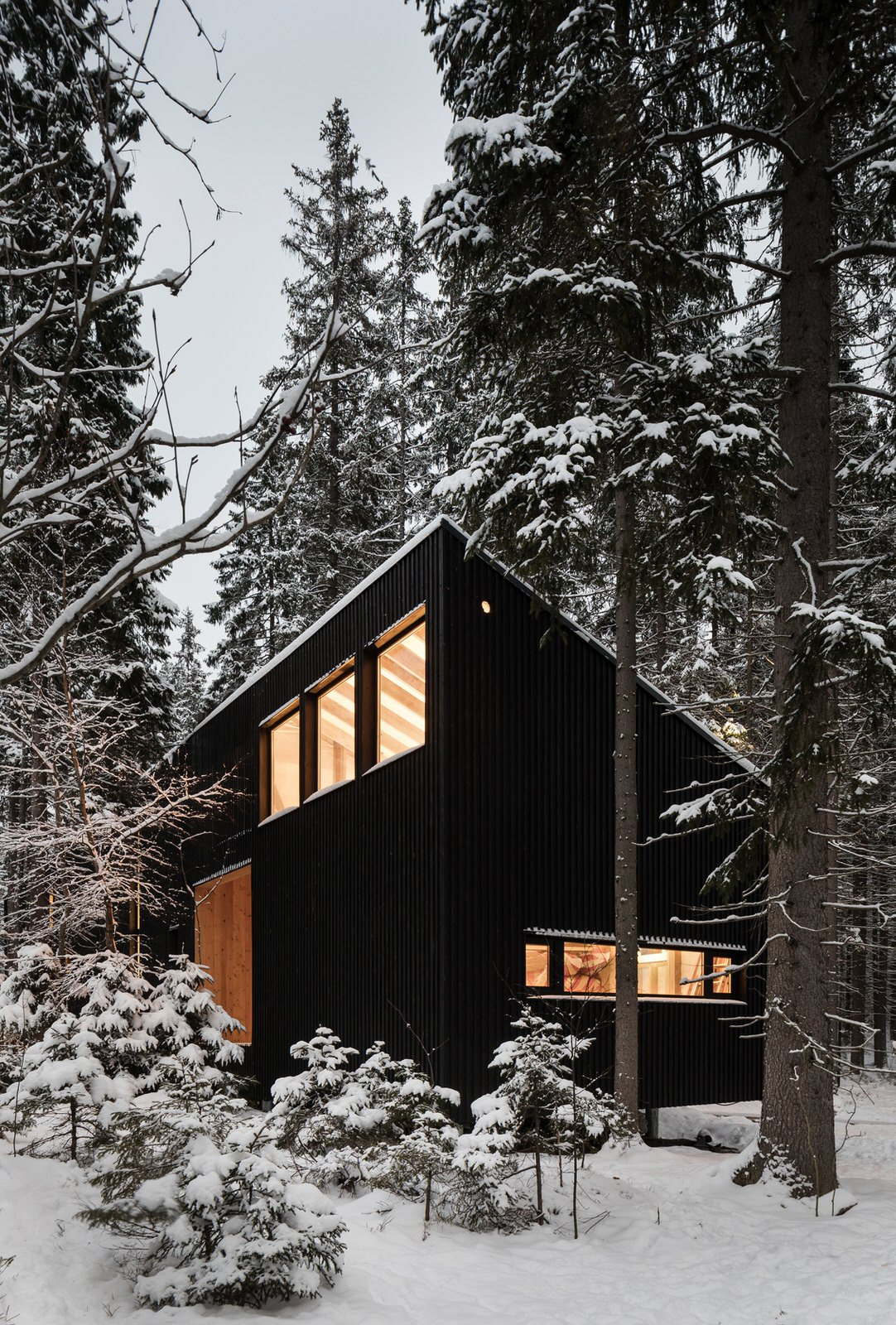 Houzz тур: Дом для двух художников на краю леса