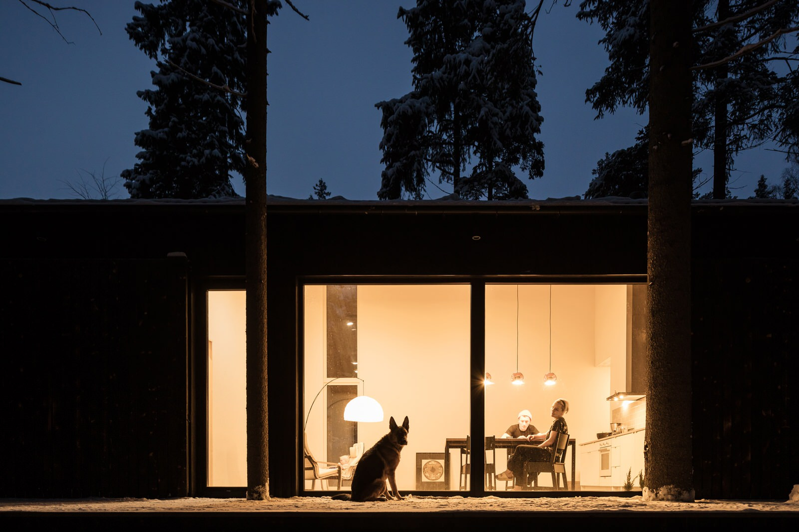 Houzz тур: Дом для двух художников на краю леса