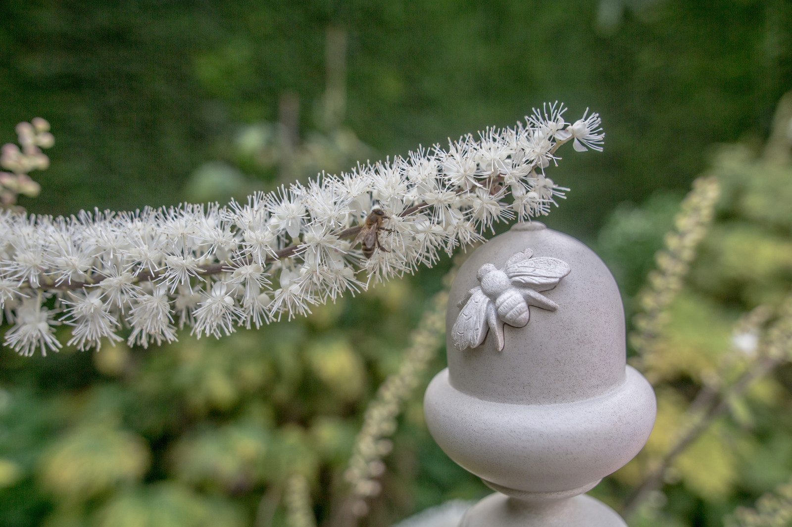 Карнизы для штор, Alison Davies