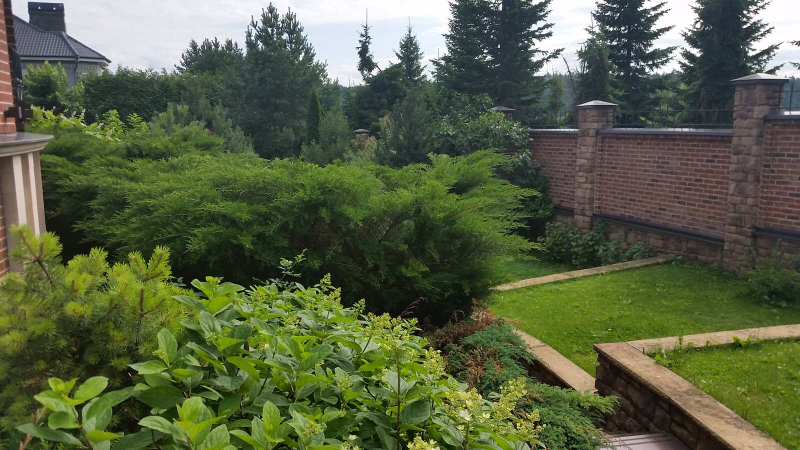 Елена Гальцова