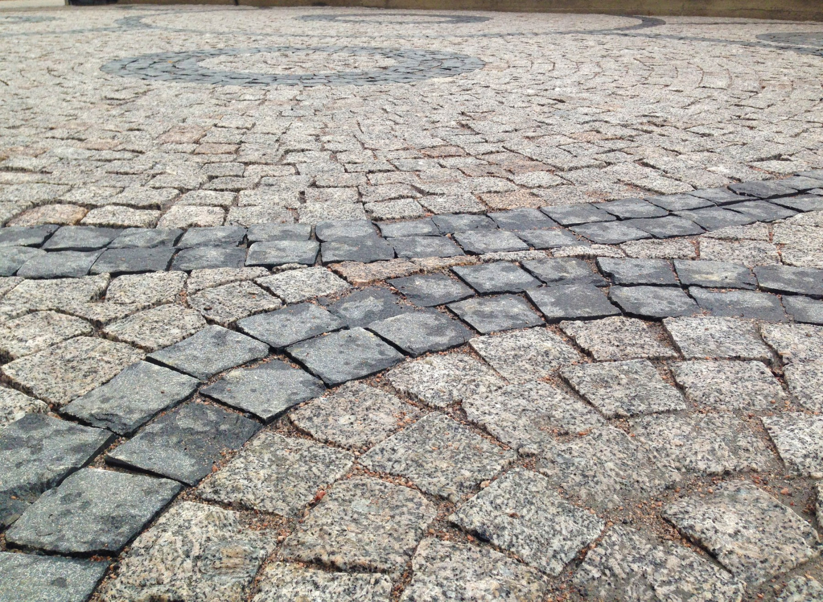 Марина Васецькая