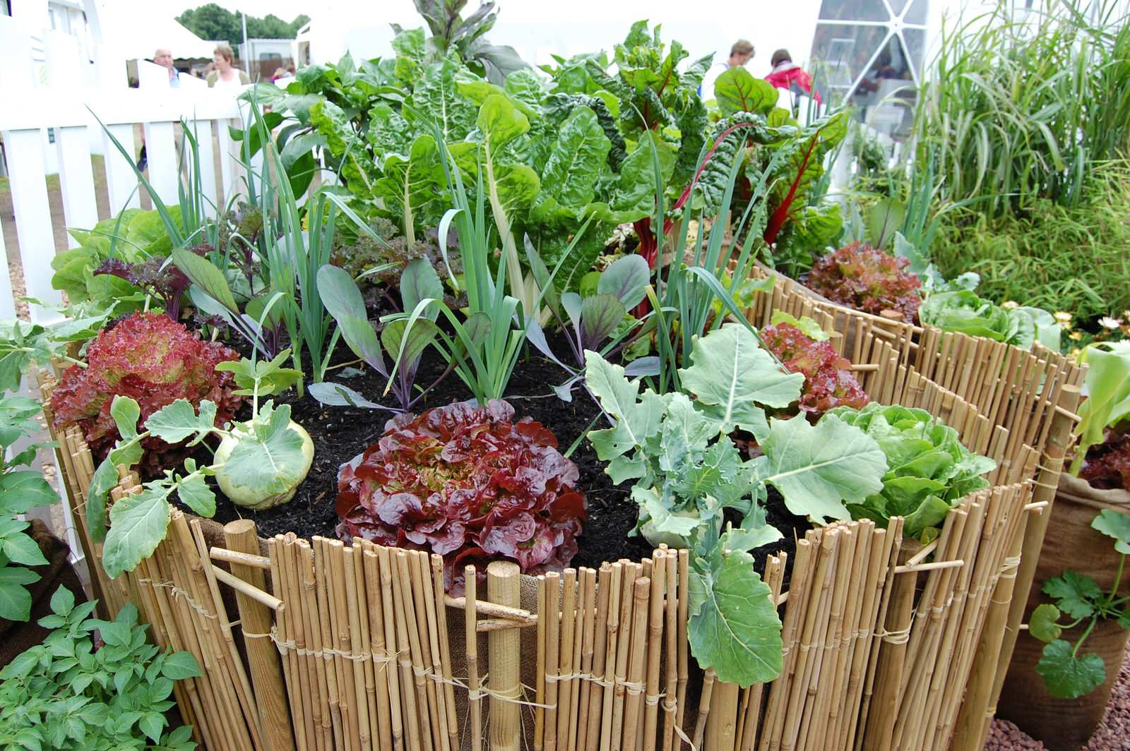 Наши статьи: "Сад пяти чувств". Фото 12