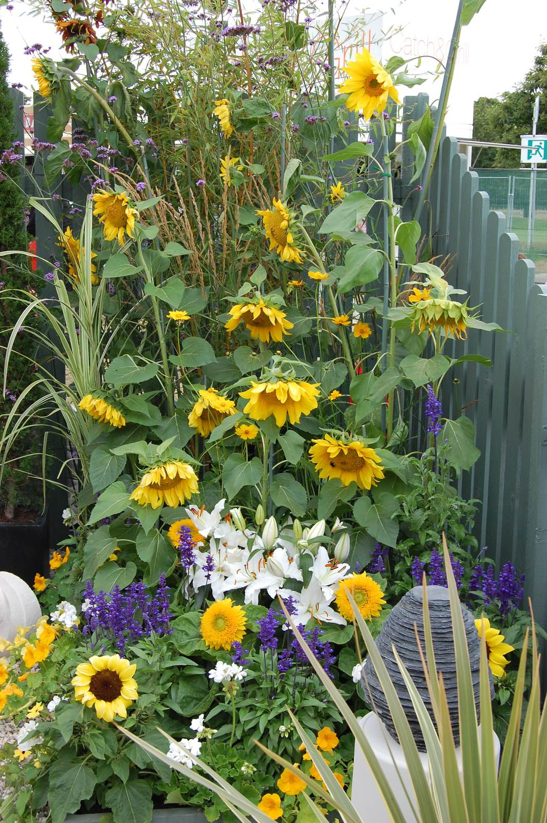 Наши статьи: "Сад пяти чувств". Фото 13