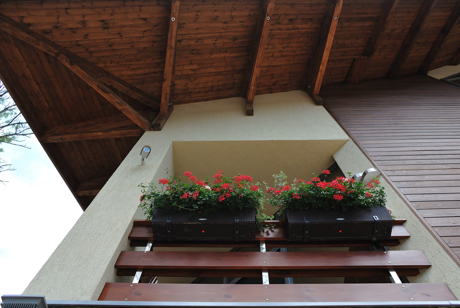 Обложка проекта: Forest Reflections