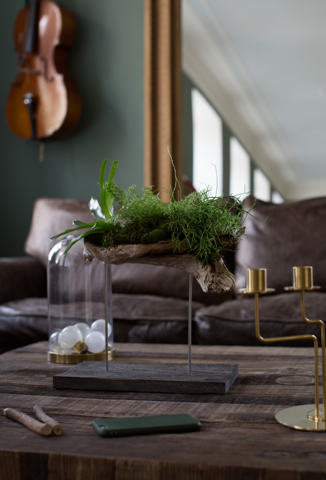 Bionica Project Market