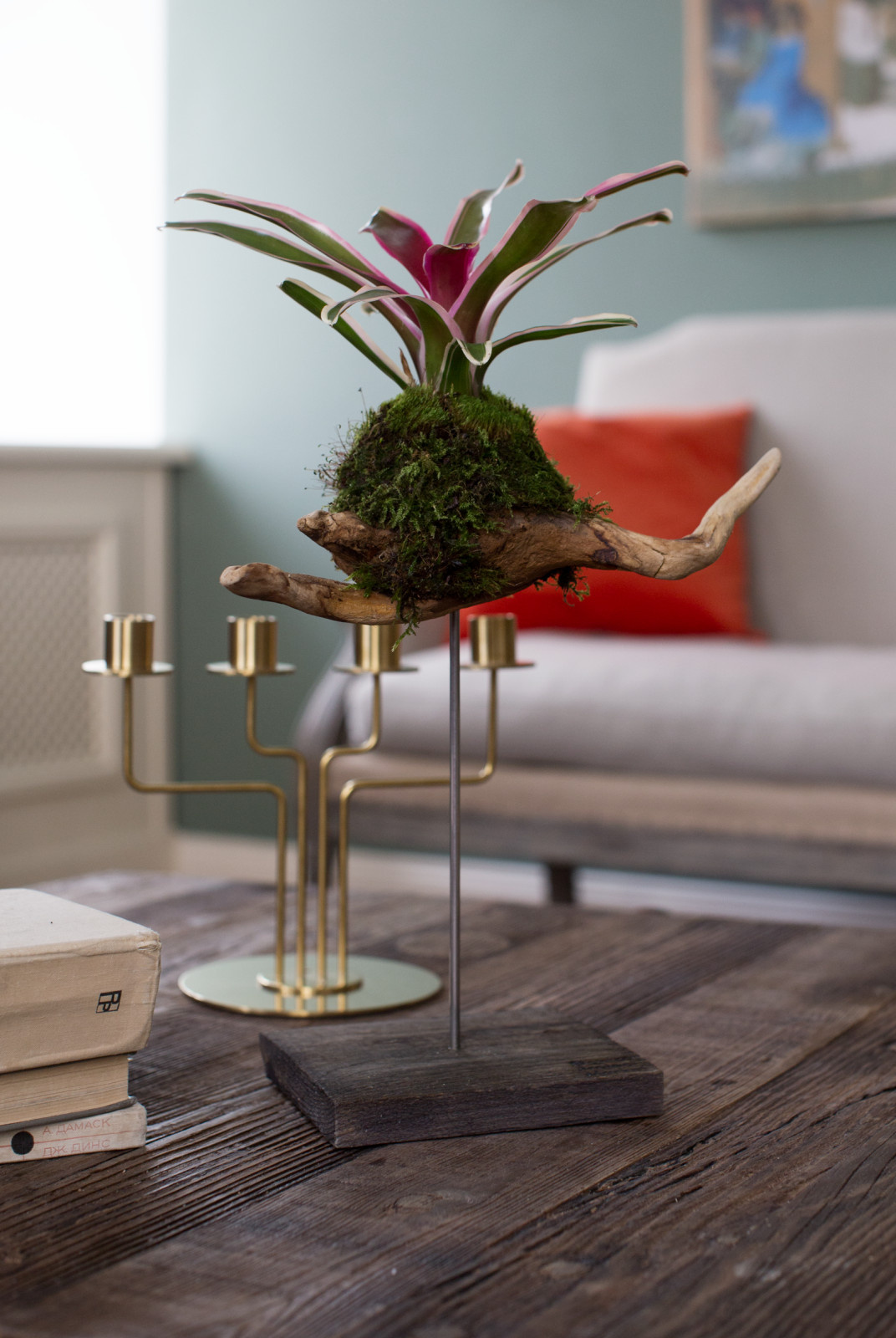 Bionica Project Market