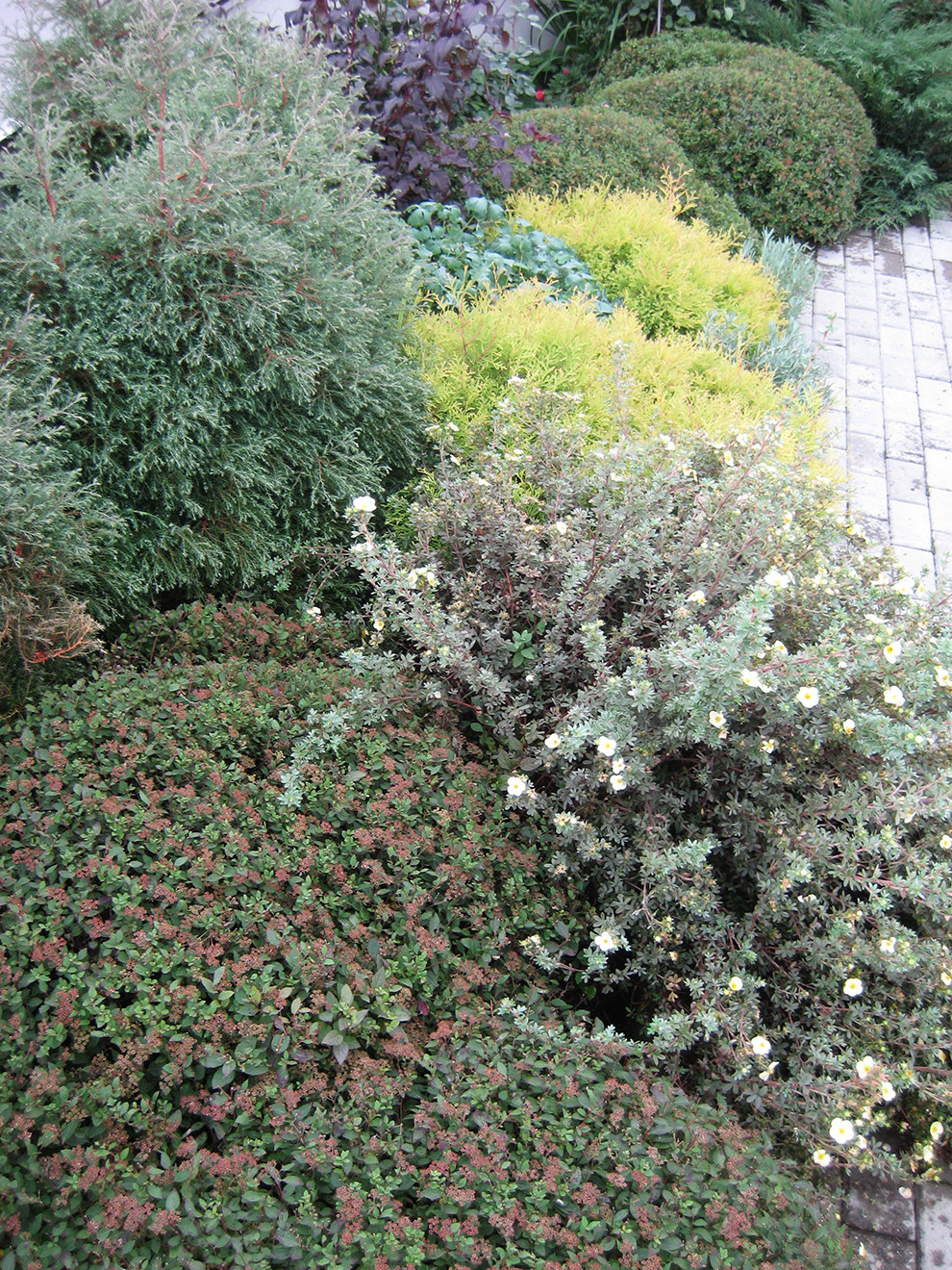 Перед домом