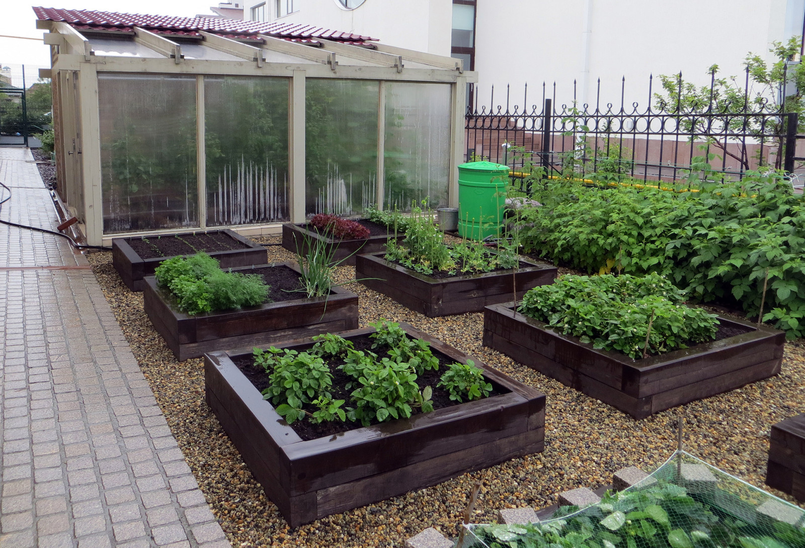 Сад с геометричным водоемом