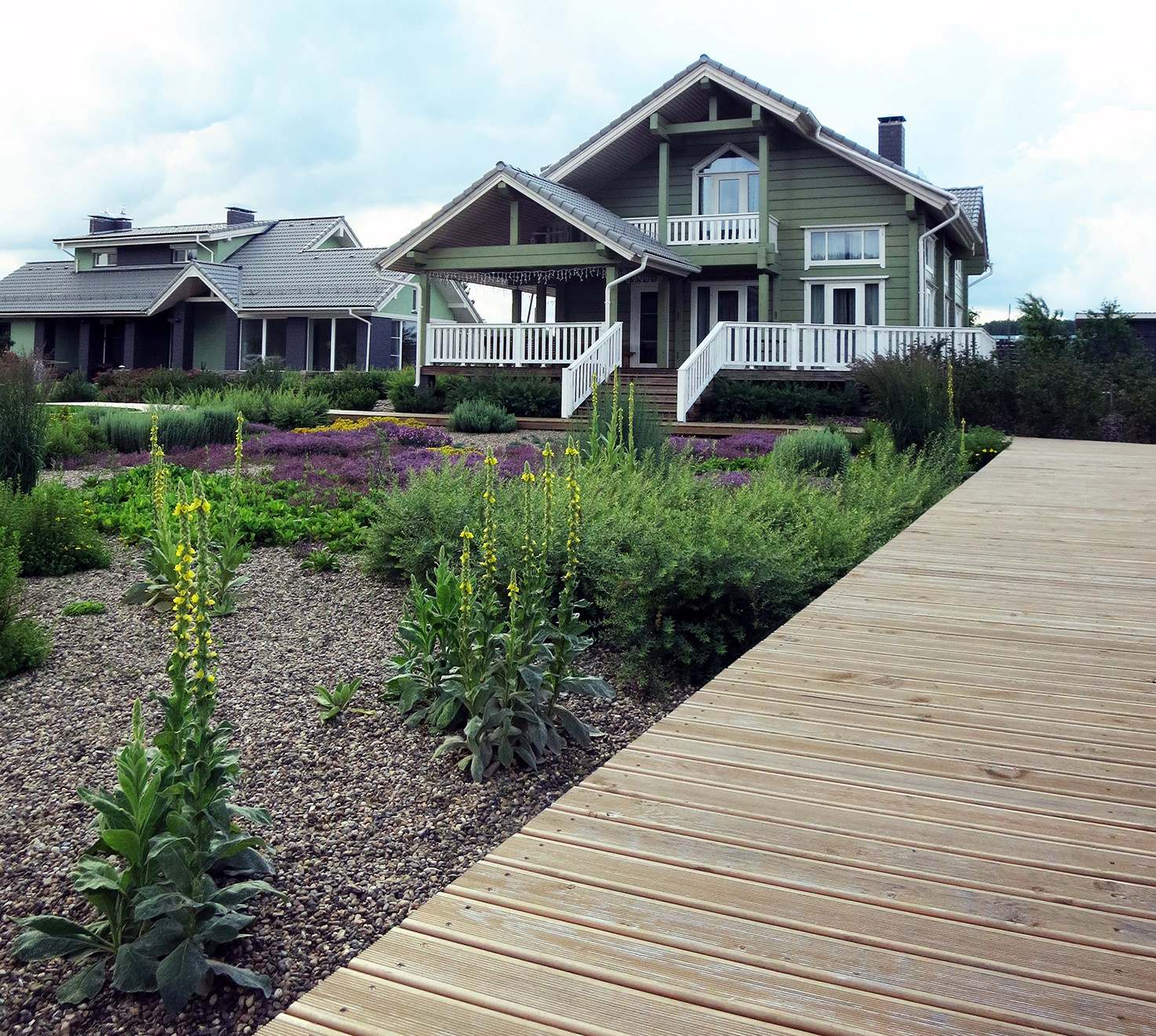 Полынный берег