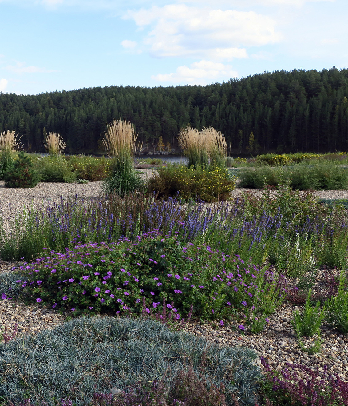 Полынный берег