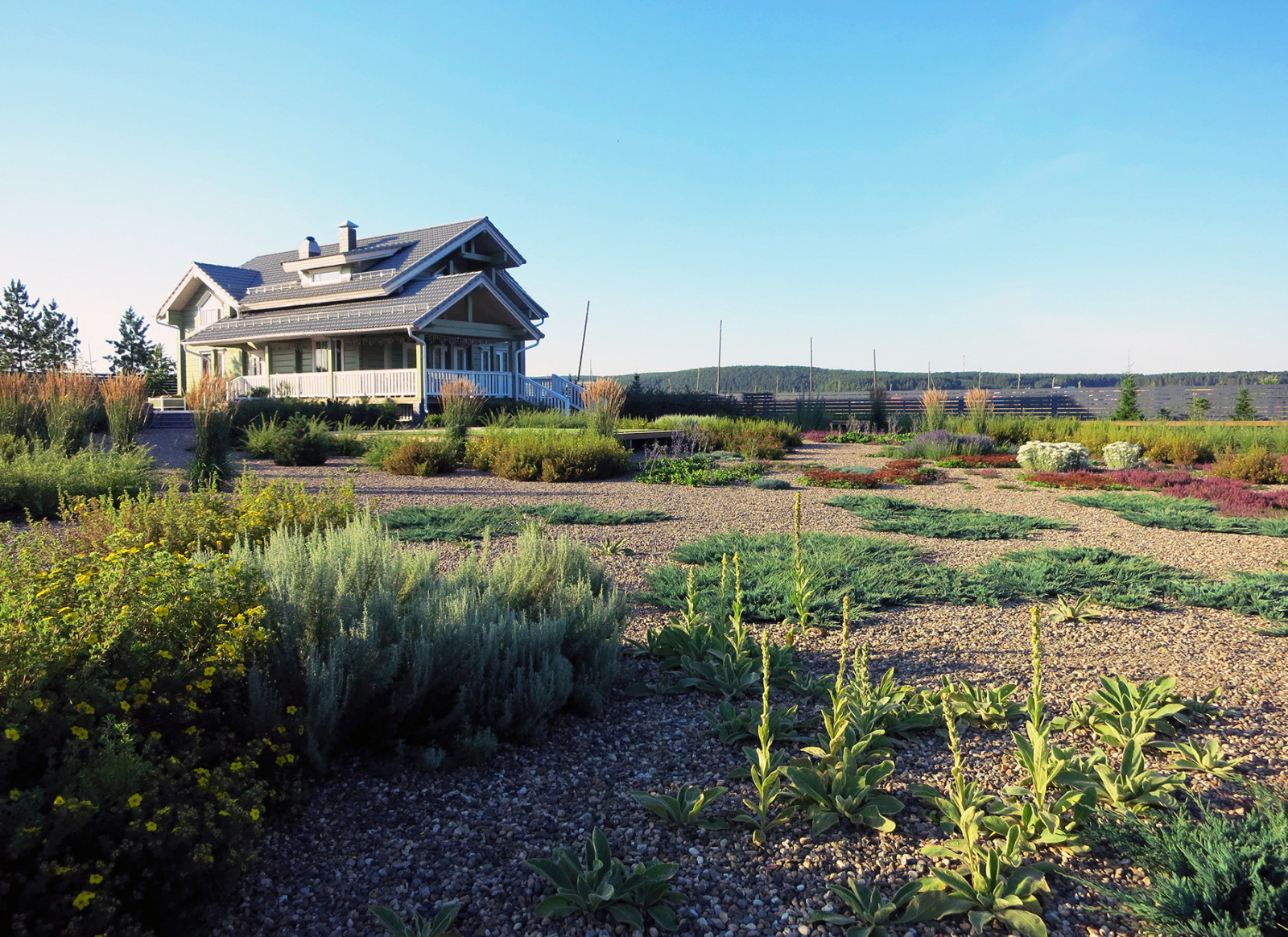 Полынный берег