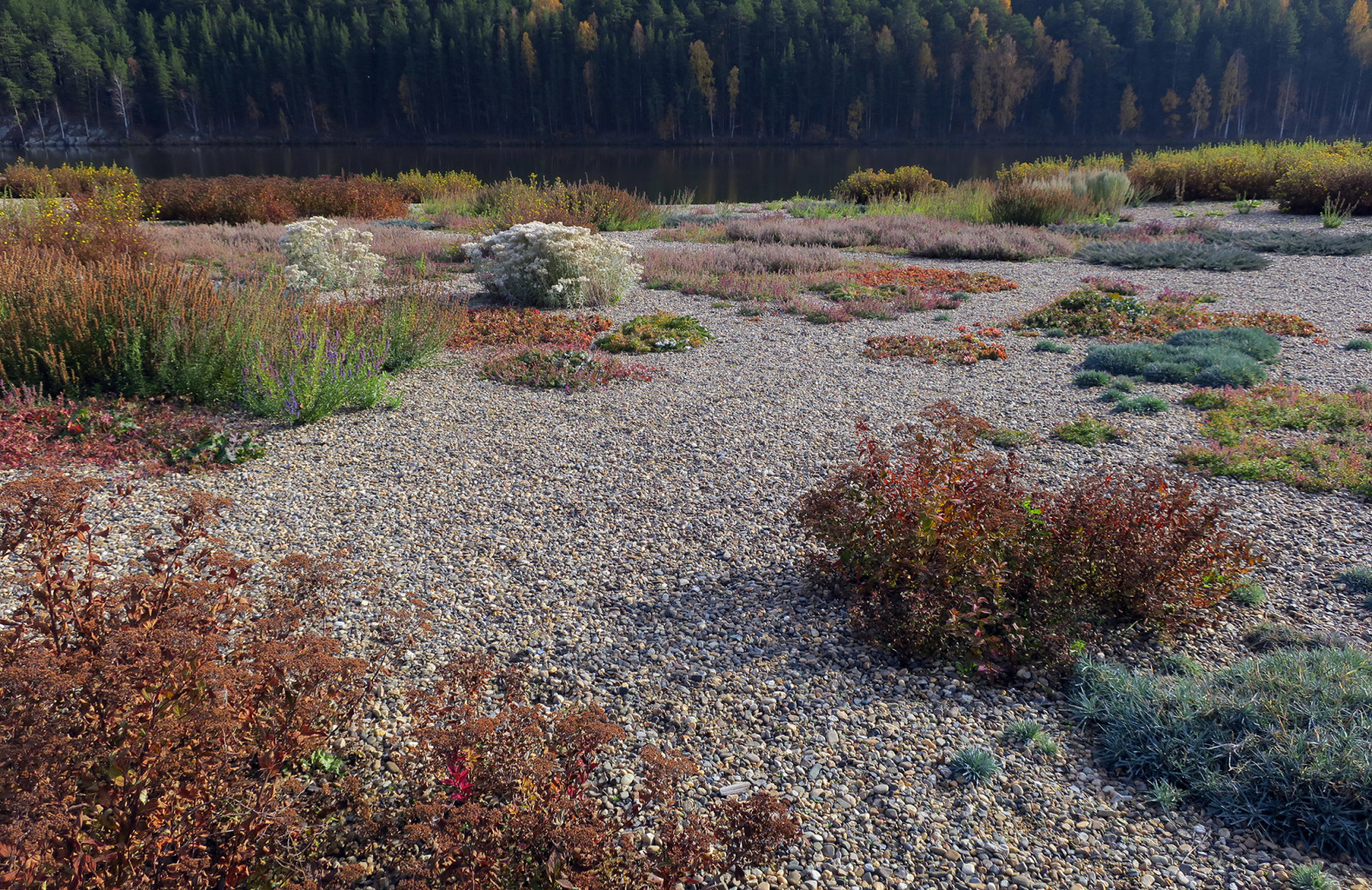 Полынный берег